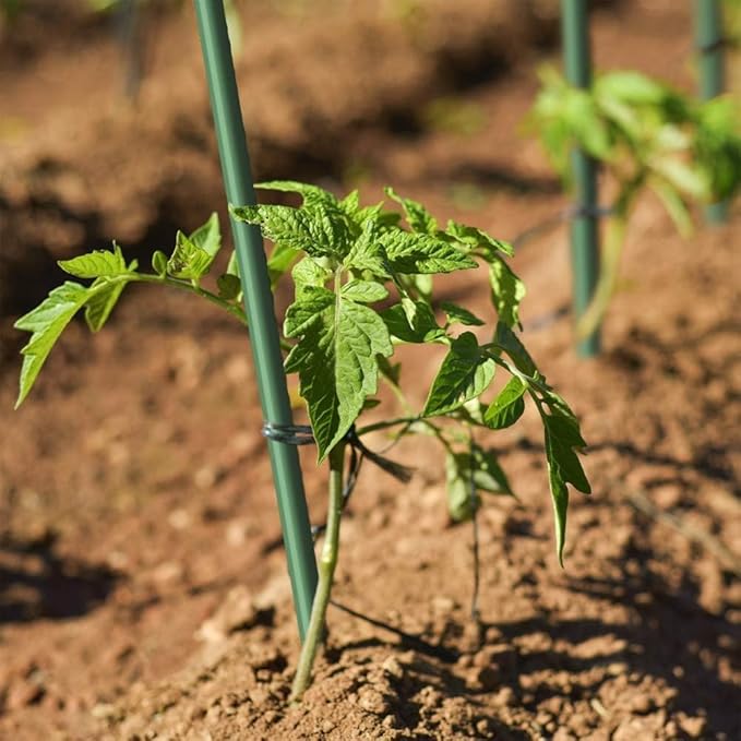Plant Stakes 48inch 20pack, 1/2inch Diameter Garden Stakes, Garden Poles Tree Stake for Cucumber Potato Fence, Never Rust, 4ft Long
