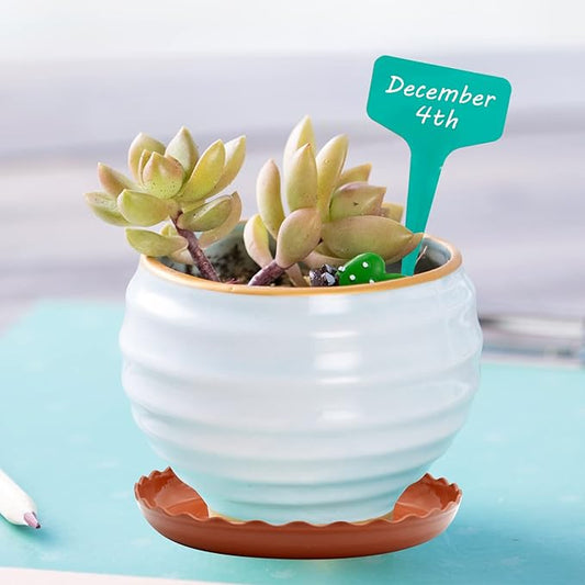 12 Pack White Plant Trays 3 Sizes Plastic Round Wave Plant Saucer Flower Plant Pot Saucer Terracotta Drip Trays for Indoor Outdoor Flower Pots and Planters, with 20pcs Green Plant Labels