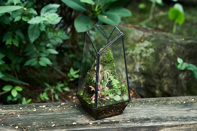 FISCRAT Tabletop Glass Terrarium -5"x5"x10.8" Black Metal Frame Indoor Plant Display Container with Openable Door, Low Maintenance Succulent Ecosystem, Space Saving Art Decor (Plants Not Included)