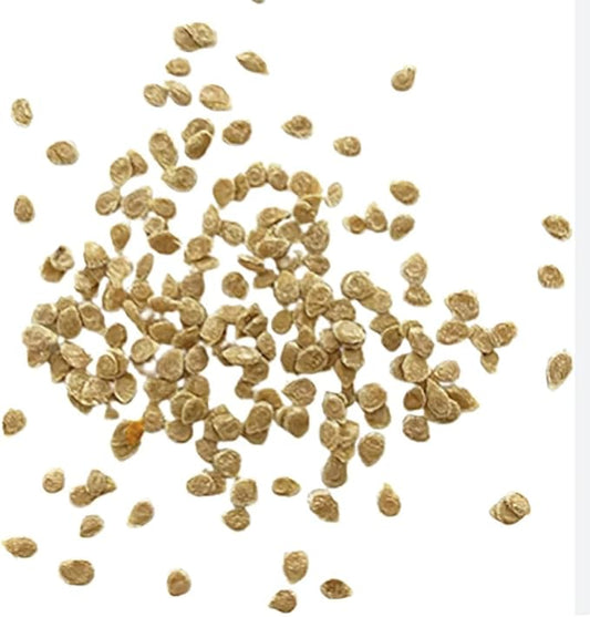 Chocolate Stripe Tomato Seeds - Large Tomato with Brown Striping