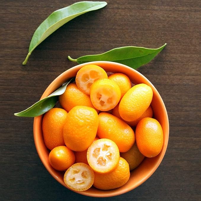 Gardenera's Premium Kumquat Soil Mix - Quick Drain Potting Soil for Growing and Repotting Citrus Japonica - 2 Quart