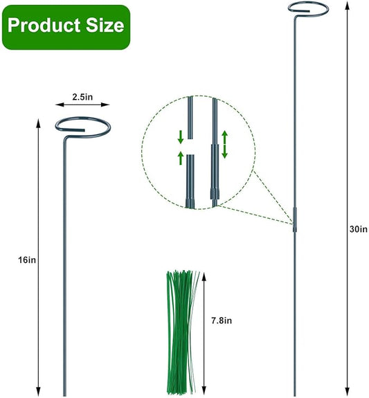4 Pack Plant Support Stakes, 16/32 Inch Garden Stakes for Plants, Plant Accessories with 50 PCS Twist Ties for Indoor Outdoor Potted Tomato Vegetables Amaryllis Monstera Rose Peony Marigold