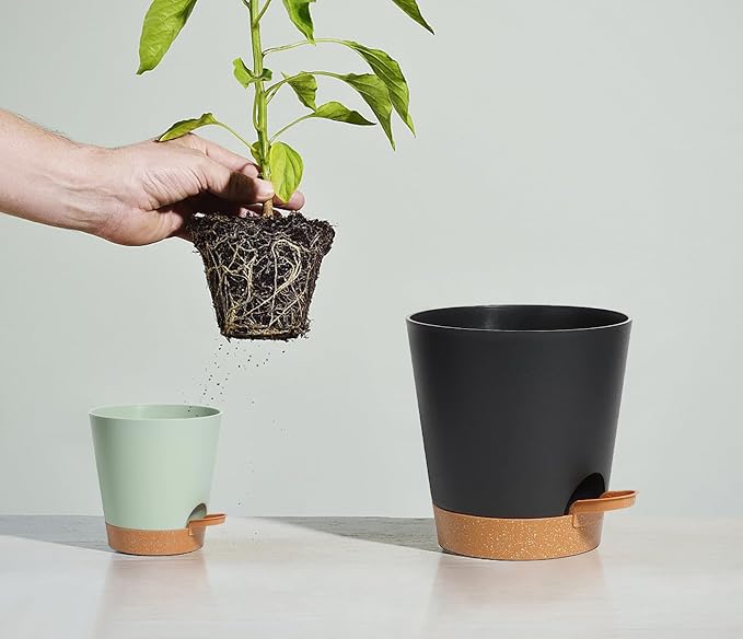 Self Watering Pot for Indoor & Outdoor Plants - African Violet, Flowers, Succulent & Cactus Plant Pots with Drainage Holes - Green Plastic Pots - Gift Idea for Lazy People - House Decor
