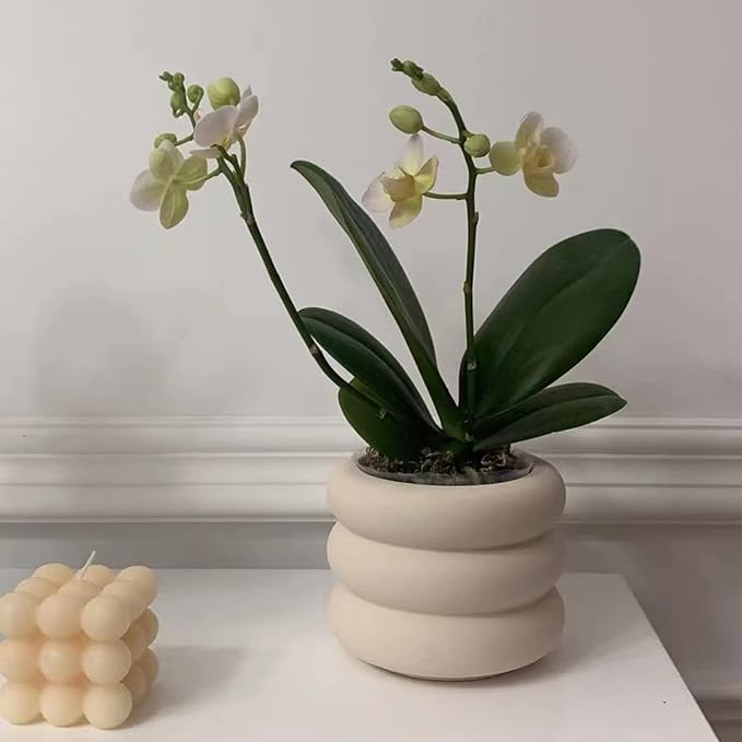 Ceramic Plant Pot Indoor, 4.5 Inch Beige Unglazed Flower Pot with Drainage Hole, Small Bubble Design Ceramic Planter for Home & Office Decor