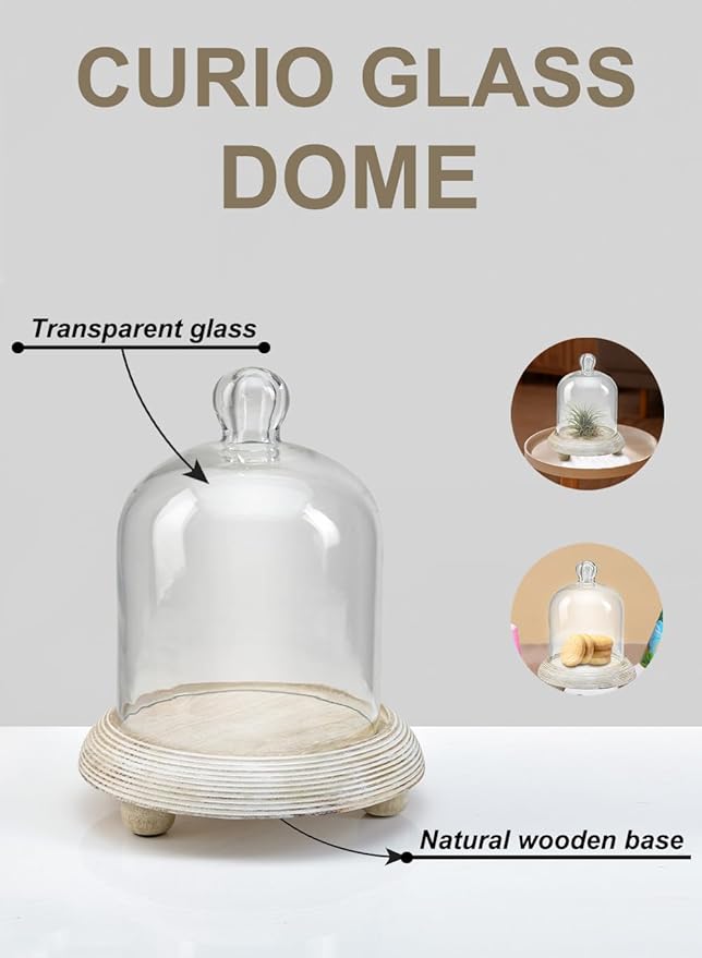 Serene Spaces Living Curio Glass Dome with Natural Wooden Base, Airplants, Flower Blooms, Accessories, Photos, Candles, Dessert Display, Home, Office Decor, Gift Idea - 6" Diameter & 7.5" Tall