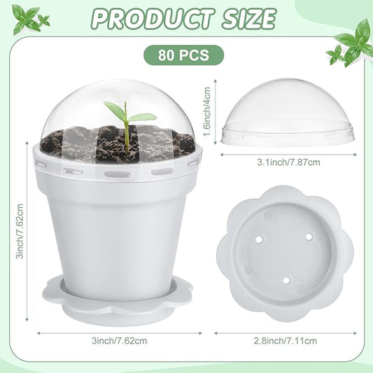Domensi 80 Pcs 3 Cupcake Plant Nursery Pots with Humidity Dome and Saucer Small Plastic Gardening Pot Plant Containers Cups Seedling Planter Seed Starter Pots for Flower Succulent Indoor (White)
