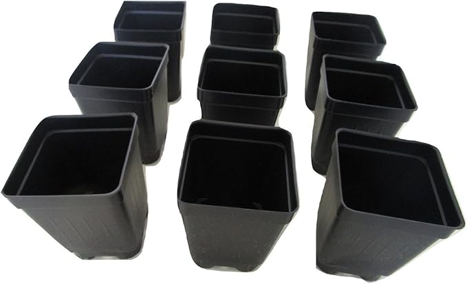 2.5" Square Extra Deep Landmark Nursery Pots - Press Fit (25)
