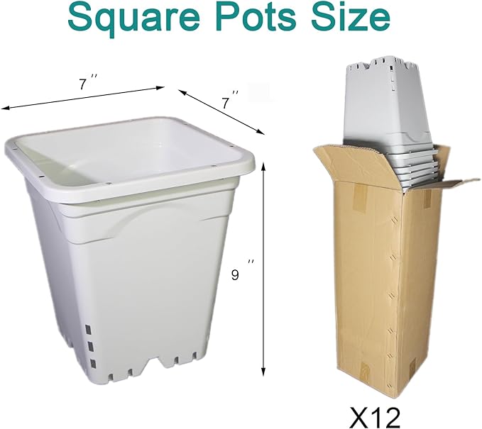 HG7X7SW 7"x7" Square White Pot, 9" Tall, Pack of 12 (12)