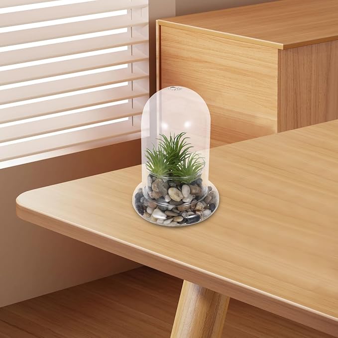 Hemoton Micro Landscape Ecological Bottle Terrarium Jar with 8Mm Hole Glass Plant Dome for Home Office Decoration and DIY Miniature Garden