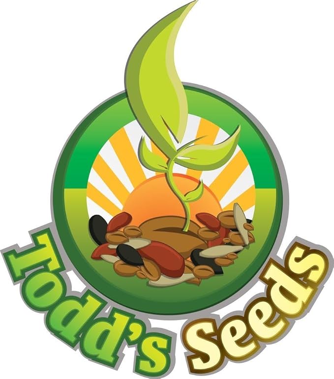 Todd's Seeds - Bundled Wheatgrass Seeds, 1Lb & Mung Bean Sprouting Seeds, 1Lb, Total of 2Lbs