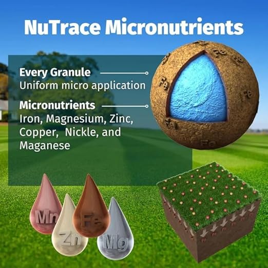 10-0-20 Emerald Lawn Fertilizer 25lbs - Slow-Release Nitrogen, Iron, & Micronutrients - Dark Green Lawn for Tall Fescue, St. Augustine, Zoysia, Centipede