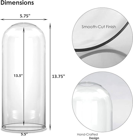 CYS EXCEL Glass Dome Cloche (H:13.75" D:5.75") | Multiple Sizes Decorative Showcase Display for Antique Collectibles | Bell Jar Terrarium & Dessert Cover