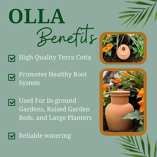 Plant Nanny Olla (3 Liter Single)