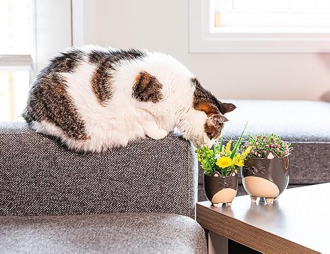 Abbott Collection Stoneware Cat on Legs Planter - Large (5" H)