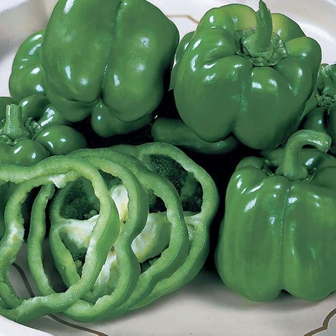 Park Seed California Wonder Organic Pepper Seeds - Pack of 500 Seeds, Thick-Walled, Sweet Flavor, 4-Inch Bell Peppers, Disease-Resistant, Perfect for Stuffing, Slicing, and Snacking