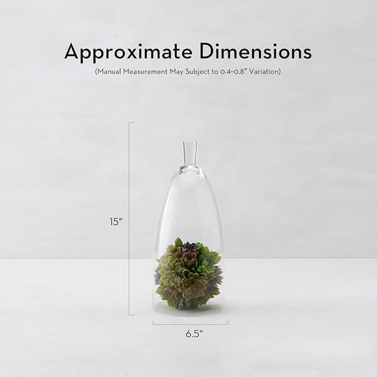 Z Gallerie Jules Cloche Hand-Blown Glass Display Dome, Elegant Terrarium for Curated Decor, Artistic Showcase for Sentimental Objects, Clear