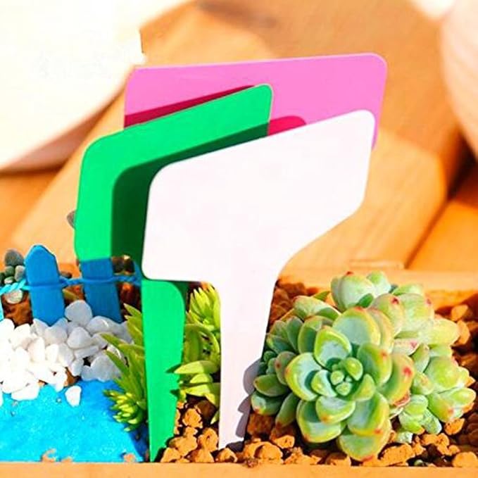 Set of 100 Assorted Colour T-type Seed Nursery Plant Label - 4 x 2-1/3 Inch Waterproof Plastic Reusable Gardening Marker Seeds Identifier Garden Stakes Gardening Tags