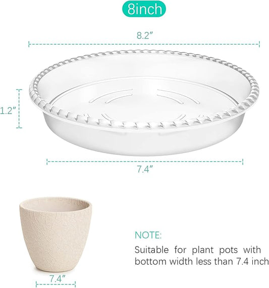 6 Pack Clear Plant Saucer 8 inch, Durable Plastic Plant Trays for Indoor, Round Flower Plant Pot Saucer, Sturdy Plant Water Catcher Tray