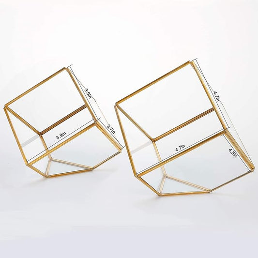 ELEGANTLIFE Glass Geometric Plant Terrarium,Succulent & Air Planter for Home Garden Office Decoration(Gold Cubic Set of 2)