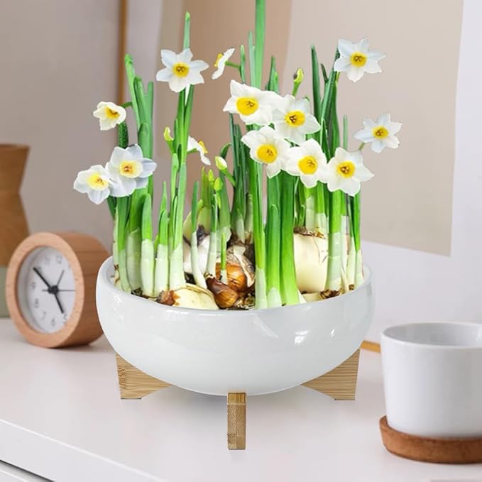 MUZHI White Ceramic Water Lotus Bowl Planter Pot with Bamboo Stand 7.8”, Lotus Shape Hydroponic Water Lily Flower Pot Planter No Drainage Hole