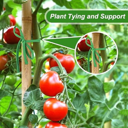 Shintop 2 Packs Garden Twine, Soft Plant Ties Green Tomato Ties Stretchy Garden String for Supporting and Tying Climbing Plants Veggies Flower(98 Feet/Roll