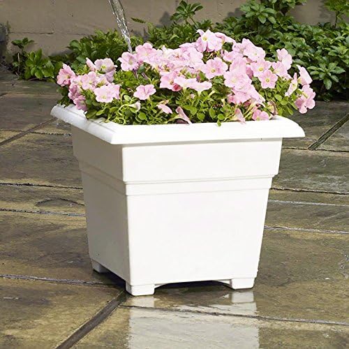Root & Vessel Countryside Square Tub Planter, White, 14-Inch