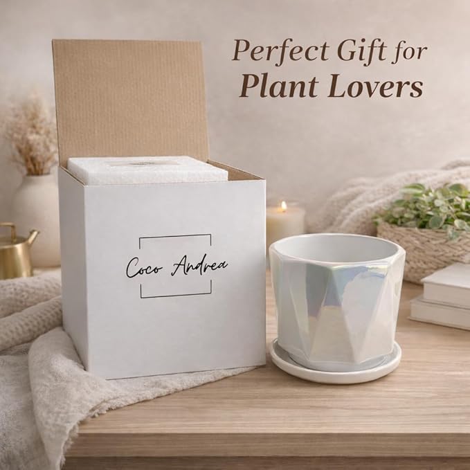 Coco Andrea Ceramic Plant Pots for Indoor Plants with Drainage & Saucers - 5-inch Iridescent White Planters for Houseplants, Succulents & Flowers - Housewarming Gift Set (1-pc, Small)
