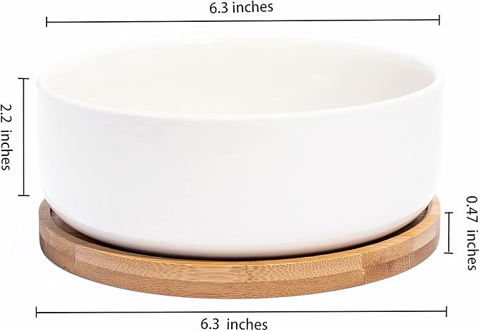 LANKER 6.3 Inch Round White Ceramic Succulent Planter Pot Decorative Cactus Plant Pot Flower Container with Bamboo Tray (Round 6.3Inch)