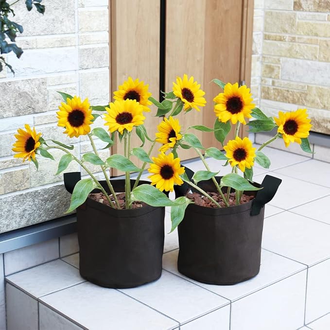 Aimedia Nonwoven Planter, Brown Cloth Pot with Handle, Set of 2, Size 7, 5L, 7.9 x 8.3 inches (20 x 21 cm), Non-Woven Pot, Planting Pot, Grabbing Plant, Pot Cover, Cultivation Bag, Gardening