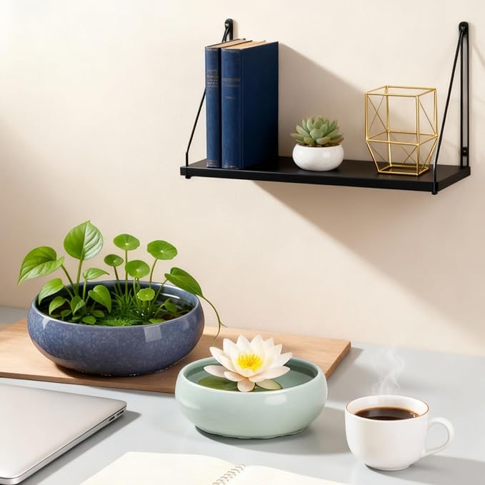 2 Pack Lotus Bowl Planter, Large 7.5'' & Small 6.5'' Shallow Ceramic Water Planting Pot, Drainage-Free Hydroponic Bowl for Lotus Seeds, Ikebana, Succulents & Water Lilies (Sky&Star Series)