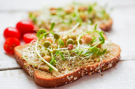 Premium USA Alfalfa Seeds for Sprouting & Microgreens with High Germination Rate. (4oz)