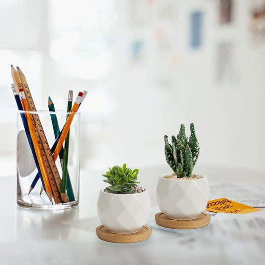 ZOUTOG Succulent Plant Pot 12 Pack, 2.5 inch Square Pattern Ceramic Planters with Bamboo Tray, Small Succulent Pots Indoor, White Office Desk Decor (Seeds& Plants Not Included)