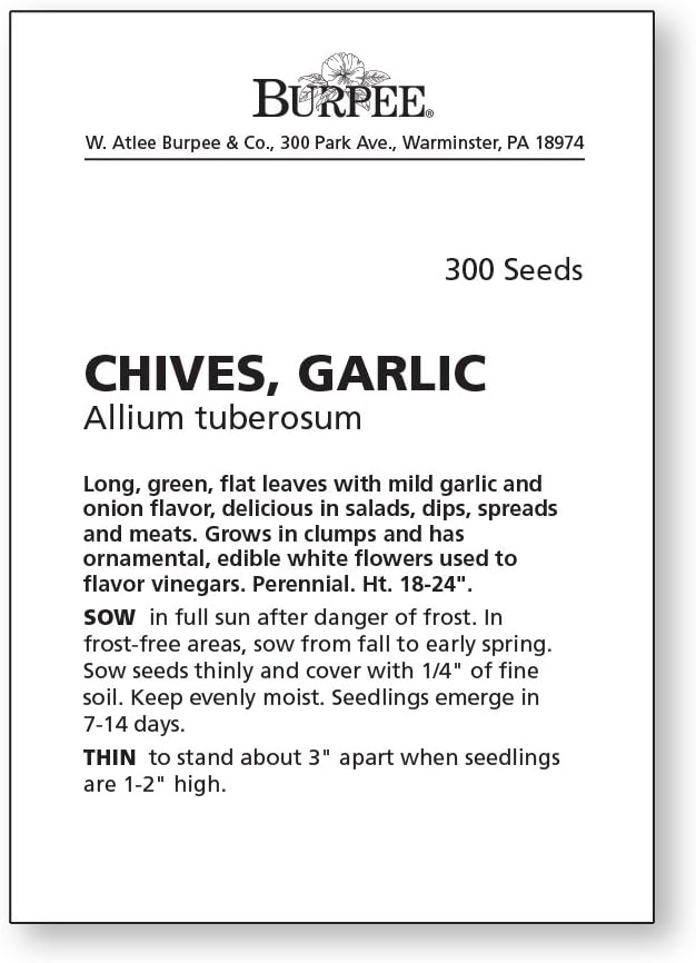 Burpee Garlic Chives Seeds 300 seeds