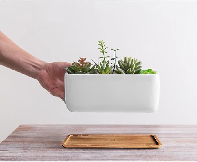 White Ceramic Succulent Planters, Indoor and Outdoor Succulent Planters, Set of 2 Small Cactus Containers, Bonsai Pots, Flower Pots with Drainage Hole and Bamboo Bowl (No Plant)