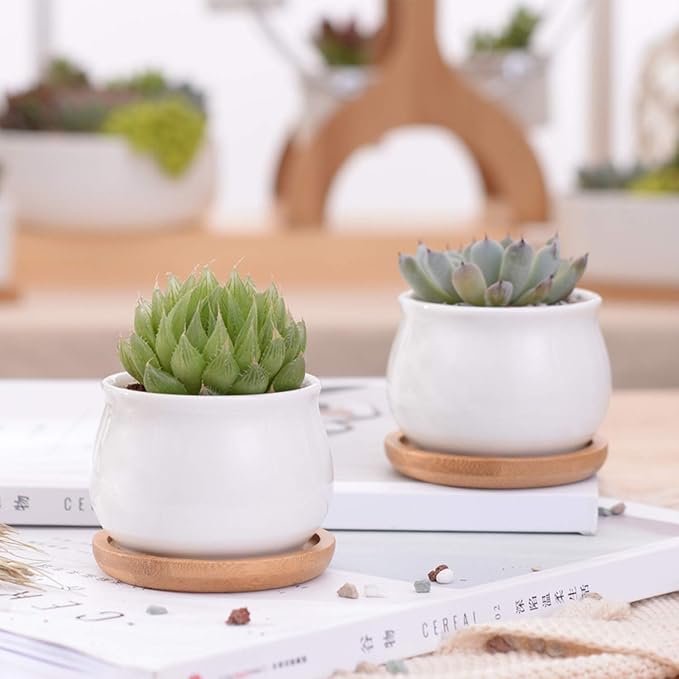 Brajttt Succluent Pots ,Small Flower Pots Planter Pots with Drinage,Ceramic Flowers Pots with Bamboo Tray for Cactus(12 Pack