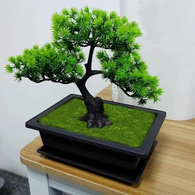 6 Packs Bonsai Training Pots with Trays 6.3 Inch Nursery Pots with Drainage Plastic Bonsai, Come with 12pcs Plant Labels, Rectangle Bonsai Flower Growing for Home Garden, Yard, Balcony, Office (s)
