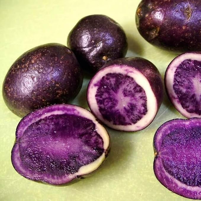 Generic 50pcs Sweet Potato Vegetable Seeds Dark Purple