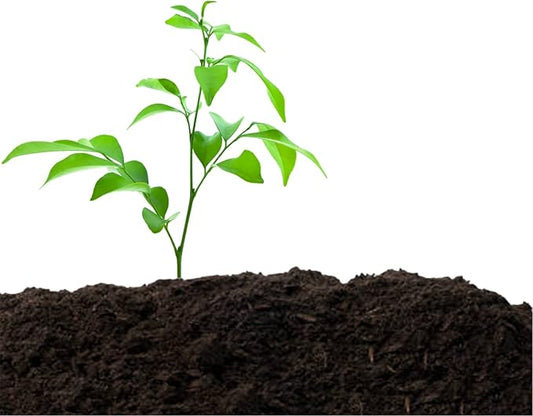 Old Potters Organic Compost - Plant Based Potting Soil - Home, Garden Fertilizer - Complete Food - Boosts Plant Growth - Use for Indoor and Outdoor Farming ~25 lbs (24 Quarts)