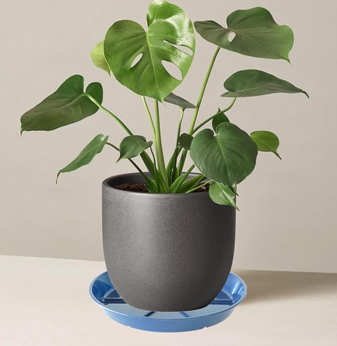 Plant Saucer Pot Tray 14 inch, 4 Packs Flower Planter Saucers and Drip Trays, Heavy Duty Round Plastic Flower Plant Dish Pant Plate to Catch Water for Indoor & Outdoor, Blue