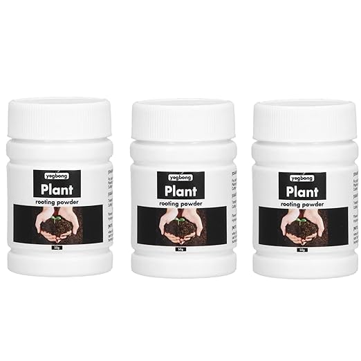 Alvinlite Rooting Powder Hormone Root Fertilizer Seedling Help New Roots on Cuttings and Promotes Strong Healthy Roots for Moderately Difficult to Root Plants Promote Growth 150g