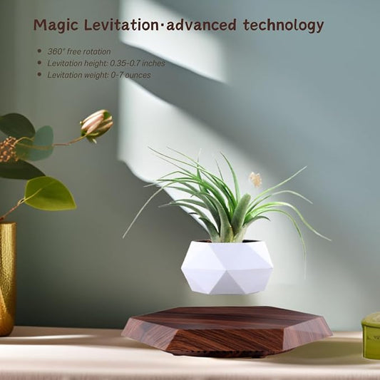 MOOCCI Floating Plant Pot Magnetic Levitating Plant Pot for Succulents, Air Bonsai and Fake Flowers and Plants, Unique Decor for Home, Office and Desk, Father's Day (Brown)