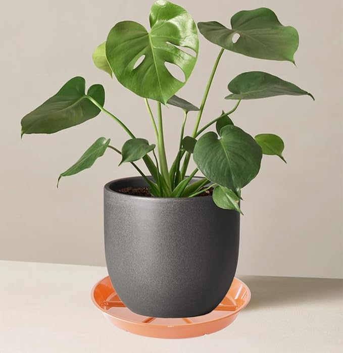 Plant Saucer Pot Tray 12 inch, 6 Packs Flower Planter Saucers and Drip Trays for Pots Planter, Heavy Duty Plant Dish Pant Plate to Catch Water for Indoor & Outdoor, Terracotta