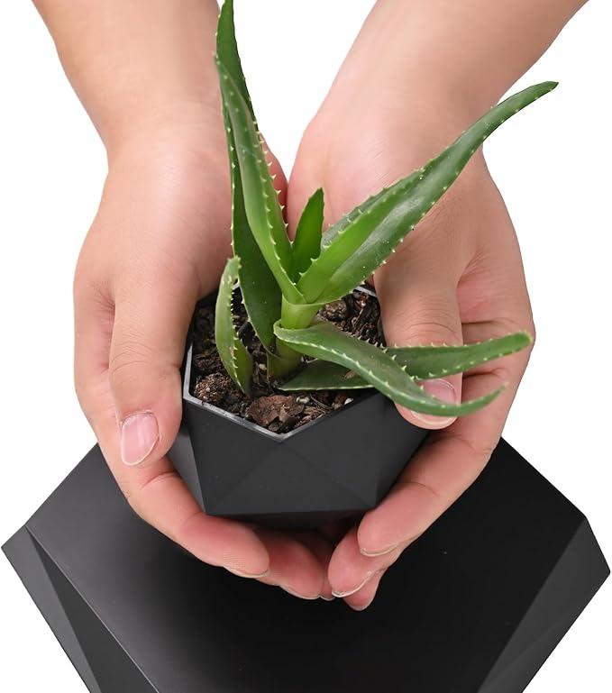 Levitating Plant Pot, Magnetic Levitation Flower Pot Suspension Floating Plant Succulents, Air Bonsai Potted Plant for Home Decoration, Living Room, Office, Desk (Black)