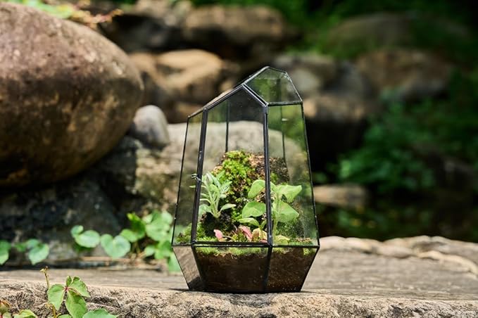 FISCRAT Metal Geometric Glass Planter | 7.9 * 6.9 * 9.8inch Rust-Proof Indoor/Outdoor Planter for Succulents, Air Plants | Space-Saving Vertical Design,a for Apartment Living and Plant Lovers
