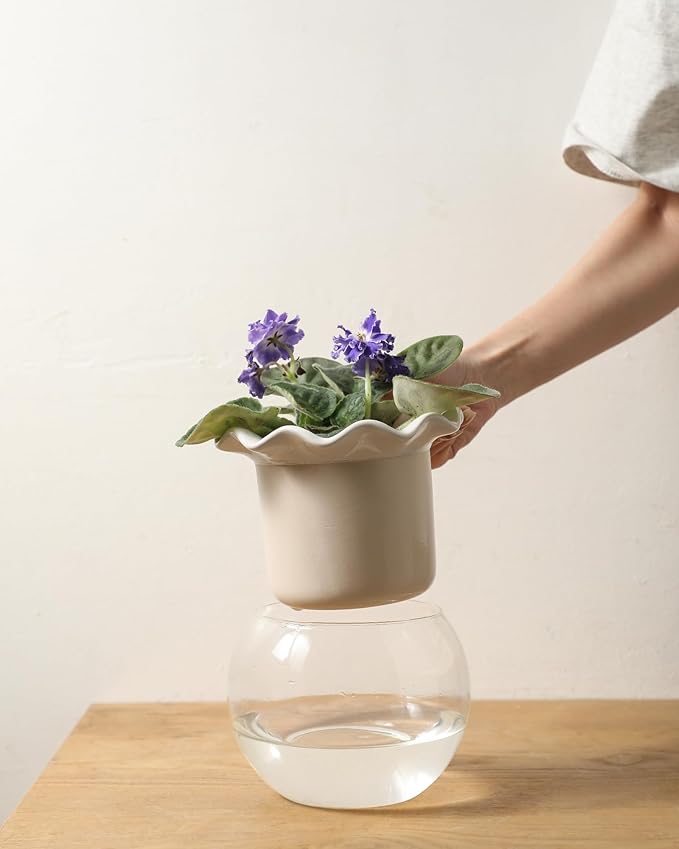 6 Inch African Violet Pots Maintenance, Glass Self-Watering Planter for Indoor Plants - Ideal Flower Pot for Thriving Indoor Gardens, Pots Only (Version 2)