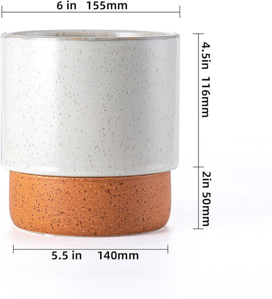 Self Watering Plant Pot: 6 Inch Ceramic Planter with Drainage Hole & Water Storage Plus - Flower Pot for Indoor & Outdoor Plants (Retro Grey, Small)