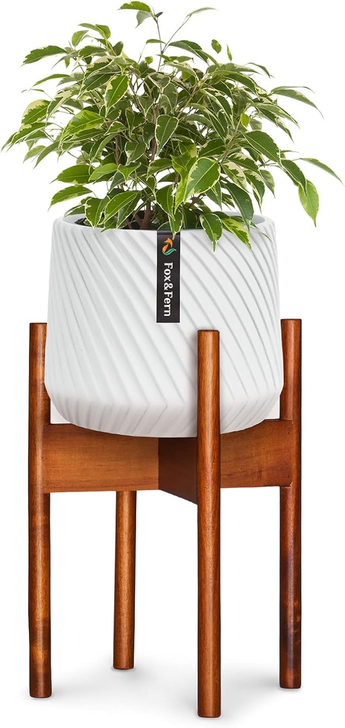 Fox & Fern Mid Century Plant Stand — 8 Inch Fixed Size Wooden Plant Stand for Indoor Planters (Not Included) - Raised Flower Pot Holder for Indoors - Plug In Design - Two Height Options - Acacia