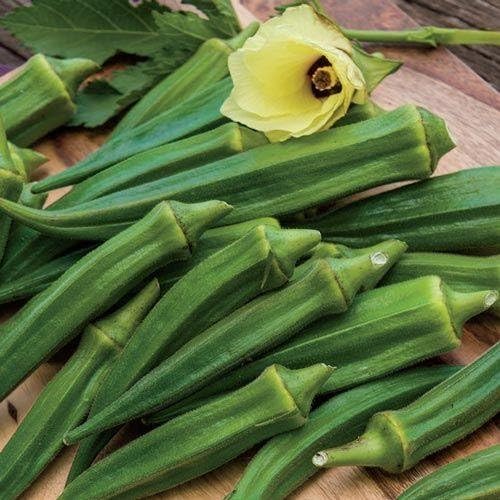 Palm Beach Medicinal Herbs - Emerald Velvet Okra - Packet of 50 Seeds