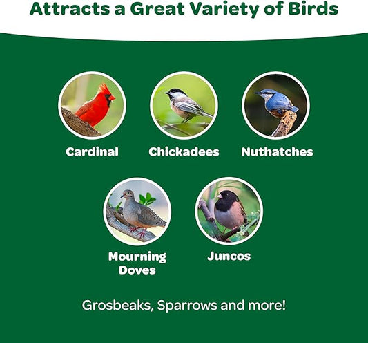 Kaytee Essentials Blend with Black Oil Sunflower, Cracked Corn and Millet, Wild Bird Food Seed for Cardinals, Jays, Finches, Chickadees, Nuthatches, Woodpeckers, Grosbeaks, Juncos, 9.5 Pounds