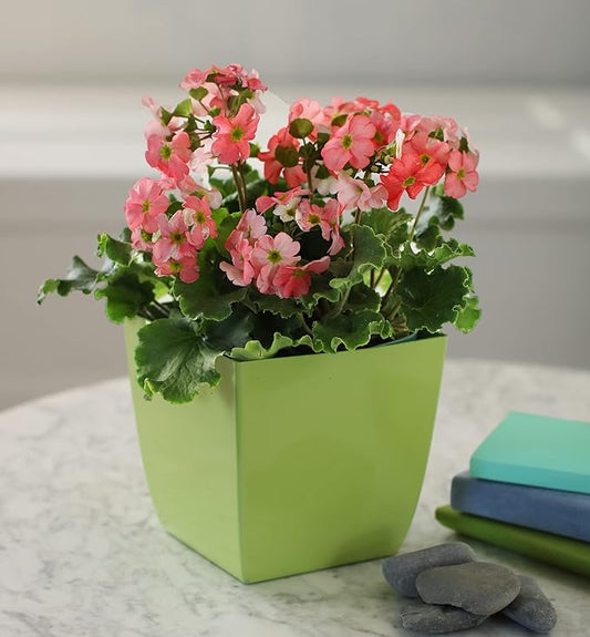 The HC Companies 8 Inch Aria Square Self Watering Planter - Plastic Plant Pot for Indoor Outdoor Plants Flowers Herbs, Glossy Green